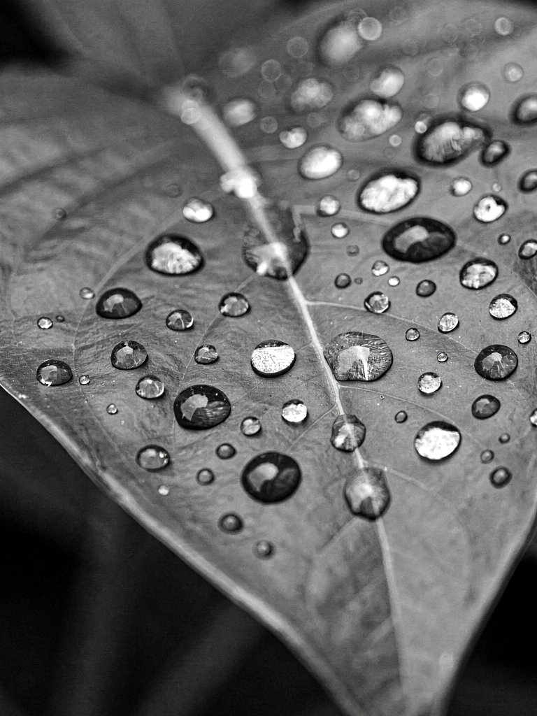 Nature-derived moisture balance